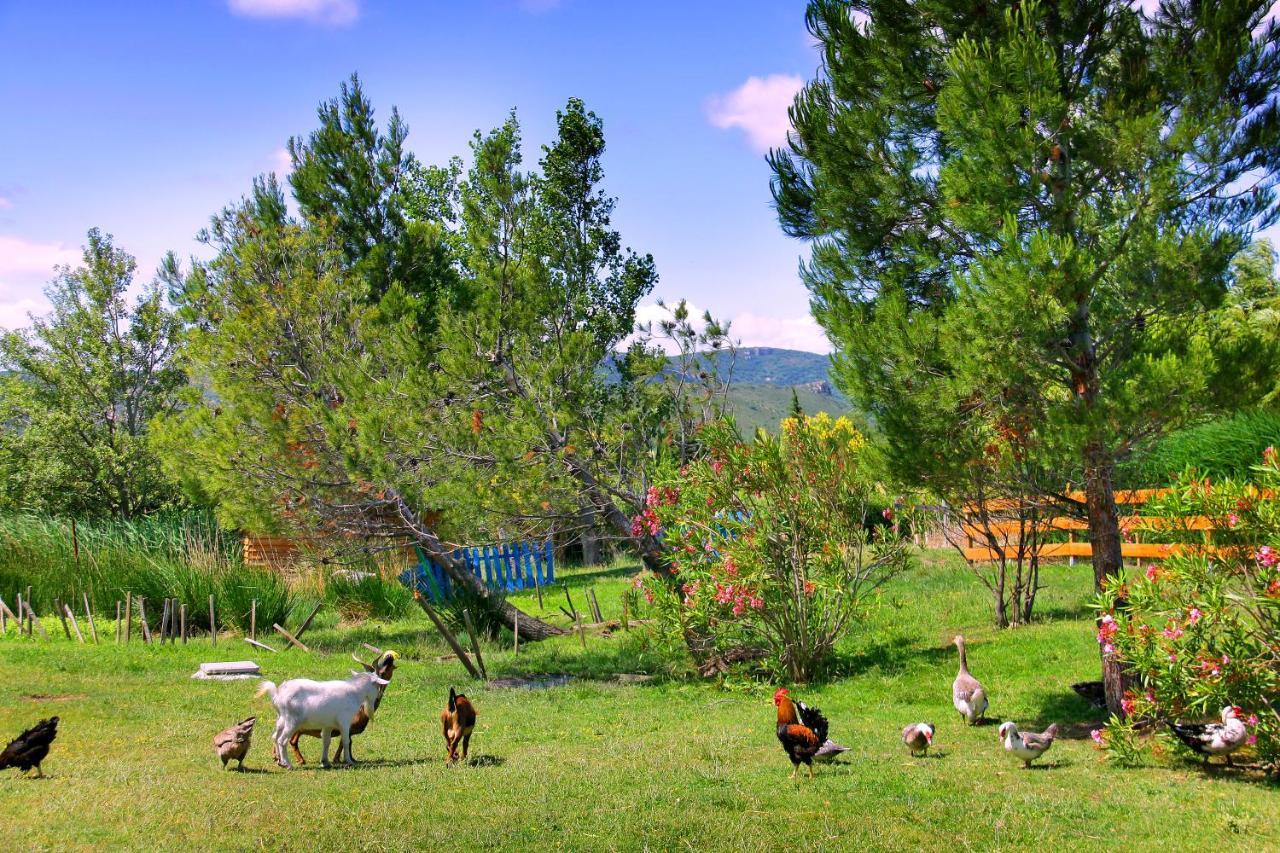 Tuchan Lodge En Pays Cathare מראה חיצוני תמונה